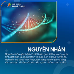 U mô đệm tiêu hóa 3