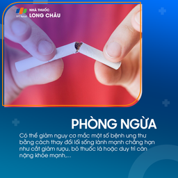 U mô đệm tiêu hóa 7