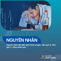 Ung thư biểu mô tế bào gan 3