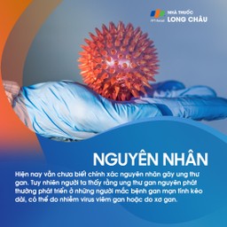 Ung thư gan nguyên phát 3