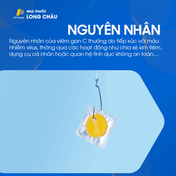 Nguyên nhân viêm gan C - Tác nhân gây nhiễm vi-rút viêm gan C và biện pháp phòng ngừa