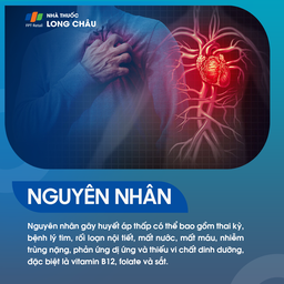 Nguyên nhân huyết áp thấp - Các yếu tố gây tụt huyết áp