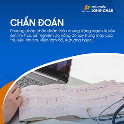 Thân chung động mạch 6