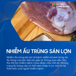 Nhiễm ấu trùng sán lợn 1