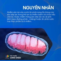 Nhiễm trùng sán lợn 3