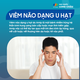 Viêm não dạng u hạt do Amip 1