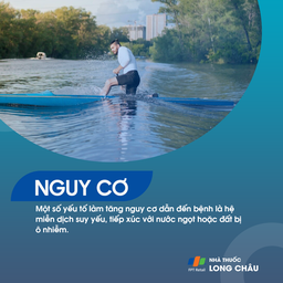 Viêm não dạng u hạt do Amip 4