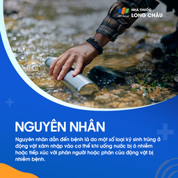 Viêm màng não do tăng bạch cầu ái toan 3