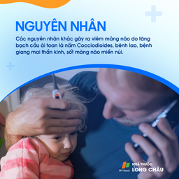 Viêm màng não do tăng bạch cầu ái toan 4