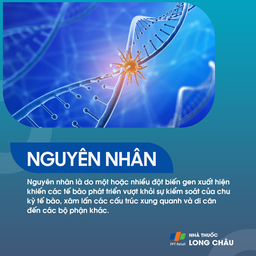 Ung thư vòm họng giai đoạn 2 - 4