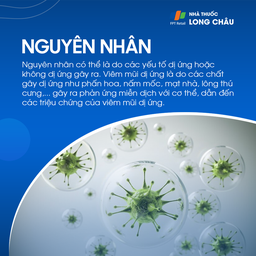 Viêm mũi mãn tính 3