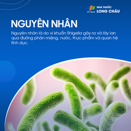 Bệnh lỵ trực khuẩn 3