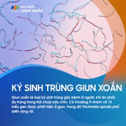 Ký sinh trùng giun xoắn 1