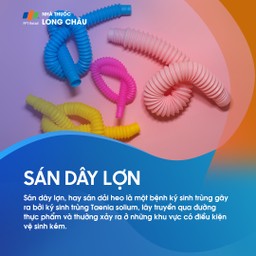 Sán dây lợn 1