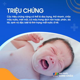 Sốt xuất huyết 3