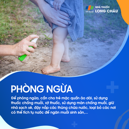 Sốt xuất huyết 8