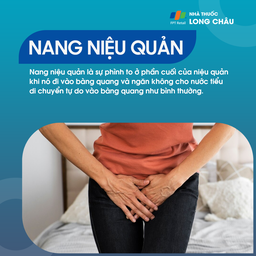 Nang niệu quản 1