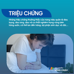 Nang niệu quản 2