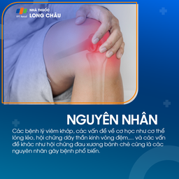 Các bệnh lý như viêm khớp, cơ học bất thường, hội chứng dây thần kinh hoặc đau xương bánh chè là nguyên nhân phổ biến gây đau đầu gối