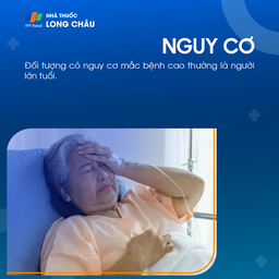 Người lớn tuổi là nhóm có nguy cơ cao mắc các bệnh gây đau đầu gối, đặc biệt khi có nền tảng bệnh lý xương khớp