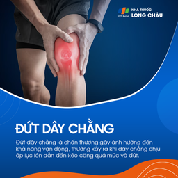 Đứt dây chằng 1