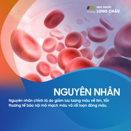 Huyết khối tĩnh mạch sâu chi dưới 3