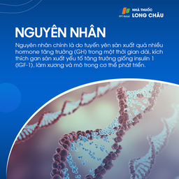 Bệnh to các viễn cực 4