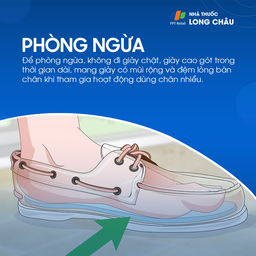 U dây thần kinh morton 8