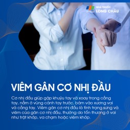 Viêm gân cơ nhị đầu 1