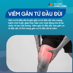 Viêm gân tứ đầu đùi 1