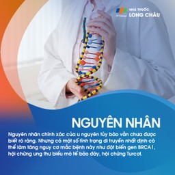 U nguyên tủy bào 3