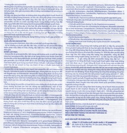 Thuốc Amoxicillin 500mg Domesco điều trị nhiễm khuẩn (10 vỉ x 10 viên)