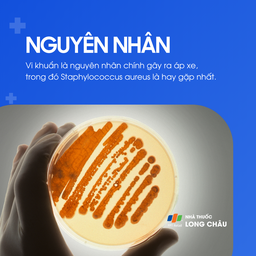 Áp xe thường do vi khuẩn gây ra, đặc biệt là Staphylococcus aureus