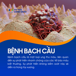 Bệnh bạch cầu là ung thư máu do sự phát triển bất thường và mất kiểm soát của tế bào máu trong tủy xương.