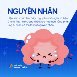 Nguyên nhân Crohn chưa được xác định rõ, các nhà khoa học cho rằng phản ứng tự miễn có thể là một yếu tố chính