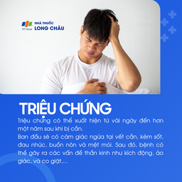 Triệu chứng bệnh dại gồm ngứa vết cắn, sốt, buồn nôn, mệt mỏi, rối loạn thần kinh