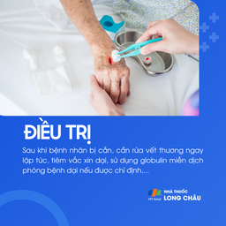 Điều trị bệnh dại gồm rửa vết thương, tiêm vắc xin và globulin miễn dịch