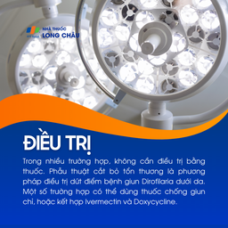 Bệnh Dirofilariasis 6