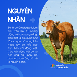 Bệnh do Cryptosporidium 3