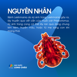 Bệnh do nhiễm Leishmania 3