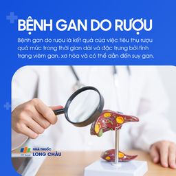 Bệnh gan do rượu 1