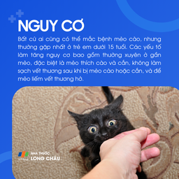 Bất kỳ ai đều có thể mắc, nhưng trẻ dưới 15 tuổi có nguy cơ cao hơn, đặc biệt nếu thường xuyên chơi với mèo mà không xử lý kỹ vết thương