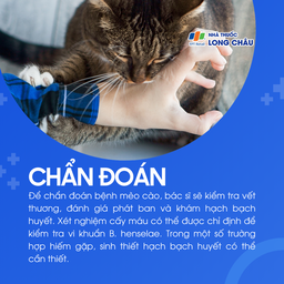 Dựa trên kiểm tra vết thương, khám hạch, phát ban, có thể xét nghiệm cấy máu hoặc sinh thiết hạch