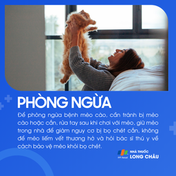 Tránh để mèo cào/cắn, rửa tay sau khi chơi với mèo, không để mèo liếm vết thương