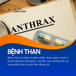 Bệnh than là một bệnh truyền nhiễm nguy hiểm do vi khuẩn Bacillus anthracis gây ra, thường tồn tại trong đất hoặc ký sinh