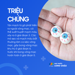 Bong võng mạc trẻ sinh non 3