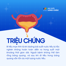 Triệu chứng mạn tính: Đường tiểu bị tắc nghẽn kéo dài, bàng quang không rỗng hoàn toàn, sau khi đi tiểu vẫn còn nước tiểu tồn dư