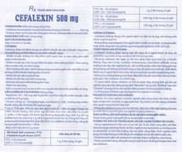 Thuốc Cefalexin 500mg Domesco điều trị nhiễm khuẩn (10 vỉ x 10 viên)