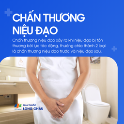 Chấn thương niệu đạo 1