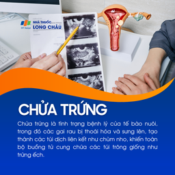 Chửa trứng 1